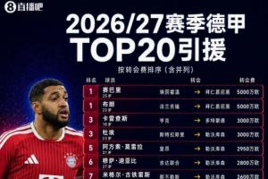 德甲夏窗TOP20：赛巴里、布朗5000万欧成标王 多特签两位希腊国脚